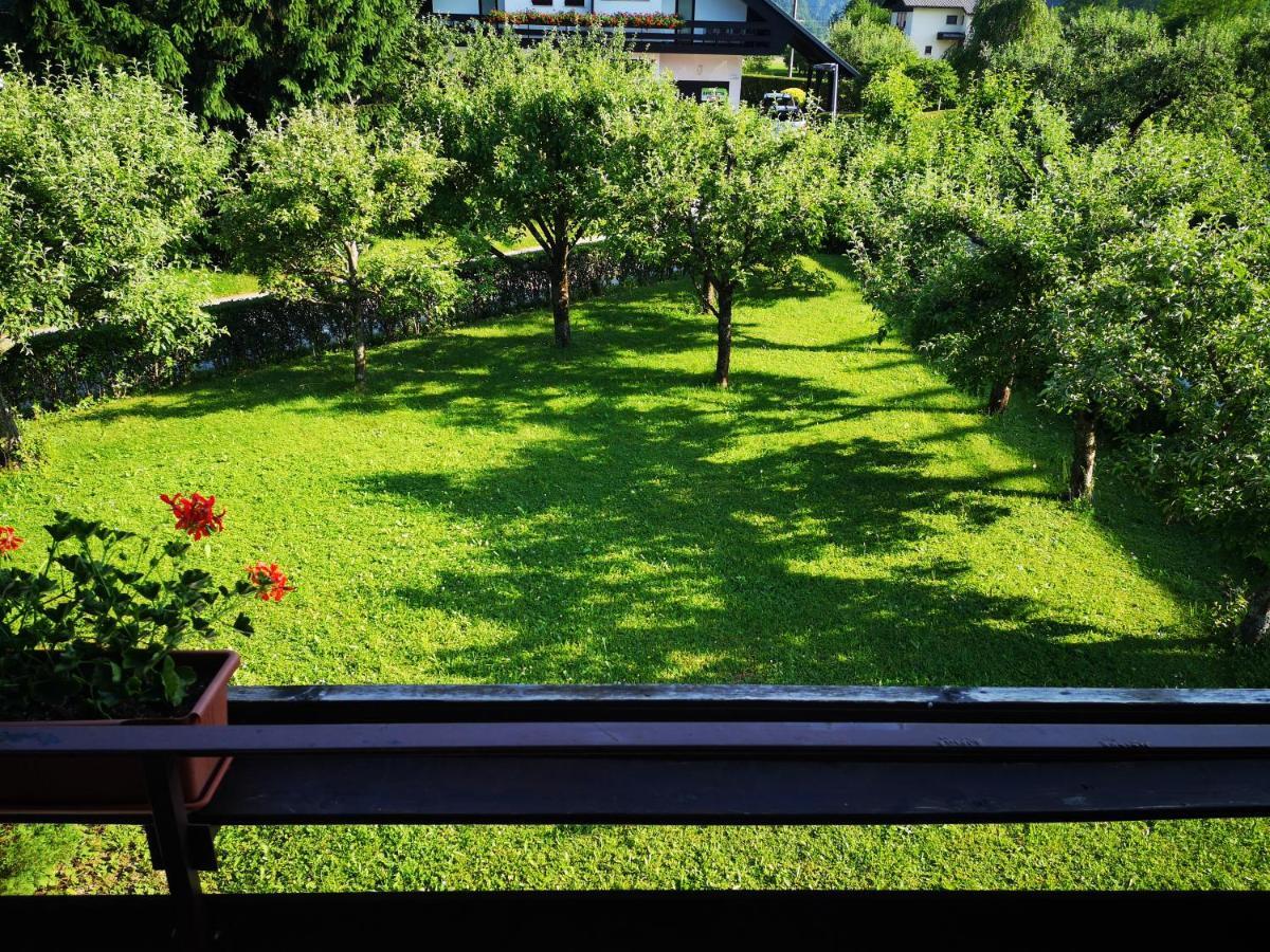 Jaka Apartments Bled Eksteriør bilde